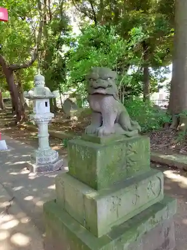 峯ヶ岡八幡神社の狛犬