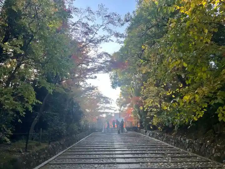 光明寺(粟生光明寺)(京都府)