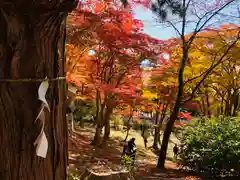 土津神社｜こどもと出世の神さまの自然