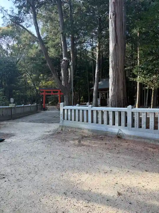 大麻比古神社の{uncategorized: "未分類", other: "その他", undefined: "問題あり", building: "その他建物", grave: "お墓", sacred_gate: "鳥居", guardian: "狛犬", statue: "像", buddha: "仏像", history: "歴史", nature: "自然", garden: "庭園", animal: "動物", pagoda: "塔", temizu: "手水舎", mountain_gate: "山門・神門", sanctuary: "本殿・本堂", subordinate: "末社・摂社", art: "芸術", scenery: "景色", jizo: "地蔵", ema: "絵馬", goshuin: "御朱印", omikuji: "おみくじ", items: "授与品その他", amulet: "お守り", goshuincho: "御朱印帳", eats: "食事", festival: "お祭り", votive_dance: "神楽", shichigosan: "七五三参", wedding: "結婚式", experience: "体験その他", initially: "初詣", around: "周辺", anti_infection: "感染症対策"}