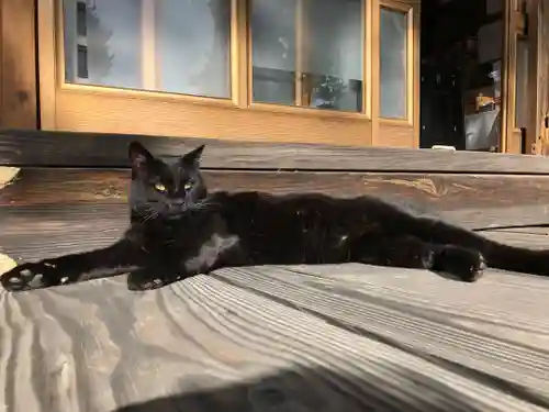 高司神社〜むすびの神の鎮まる社〜(福島県)