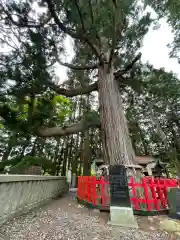 志和古稲荷神社(岩手県)