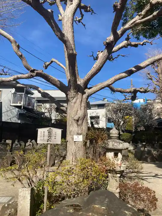 密蔵寺(神奈川県)