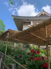 東長谷寺　薬王院の庭園