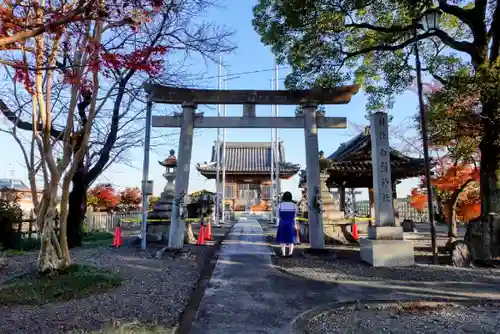 白髭神社の鳥居