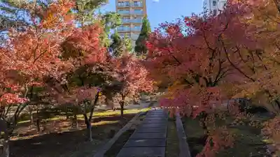興聖寺(京都府)