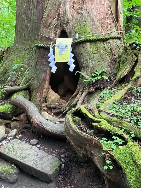 戸隠神社奥社(長野県)