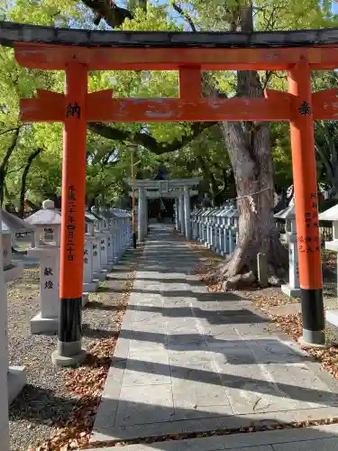 信太森神社（葛葉稲荷神社）の{uncategorized: "未分類", other: "その他", undefined: "問題あり", building: "その他建物", grave: "お墓", sacred_gate: "鳥居", guardian: "狛犬", statue: "像", buddha: "仏像", history: "歴史", nature: "自然", garden: "庭園", animal: "動物", pagoda: "塔", temizu: "手水舎", mountain_gate: "山門・神門", sanctuary: "本殿・本堂", subordinate: "末社・摂社", art: "芸術", scenery: "景色", jizo: "地蔵", ema: "絵馬", goshuin: "御朱印", omikuji: "おみくじ", items: "授与品その他", amulet: "お守り", goshuincho: "御朱印帳", eats: "食事", festival: "お祭り", votive_dance: "神楽", shichigosan: "七五三参", wedding: "結婚式", experience: "体験その他", initially: "初詣", around: "周辺", anti_infection: "感染症対策"}