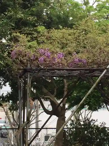 比佐豆知神社の自然