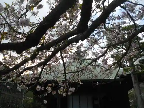 極楽寺（霊鷲山感應院極楽律寺）の自然