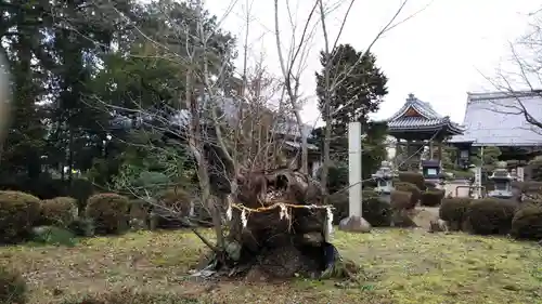 八幡神社のその他建物