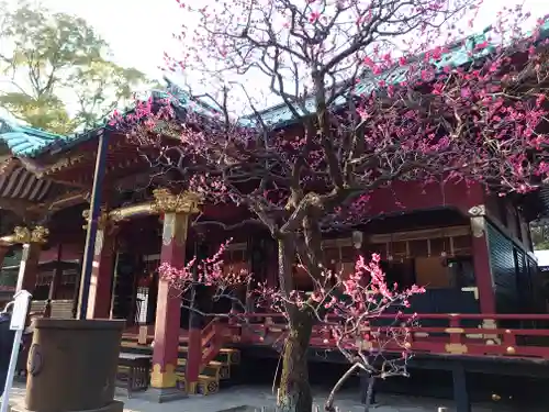 根津神社の本殿・本堂