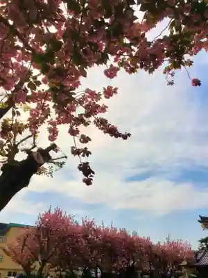 荘厳寺(東京都)