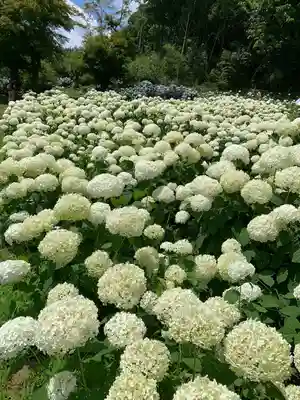 陽林寺(福島県)