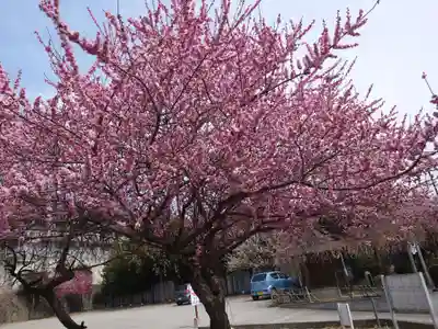 栗原天神社(神奈川県)