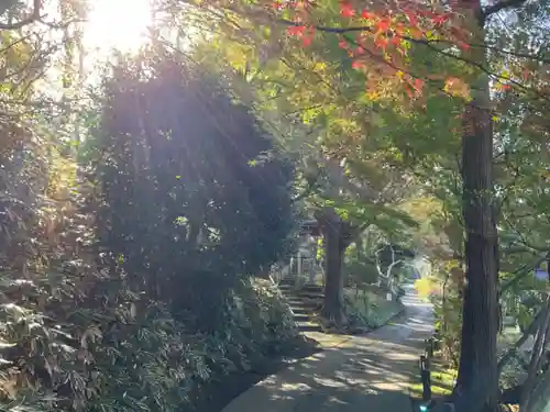天台宗　長窪山　正覚寺のその他建物