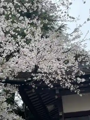 駒込天祖神社(東京都)