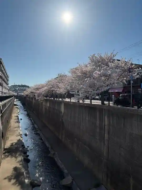 白菊稲荷大神(兵庫県)