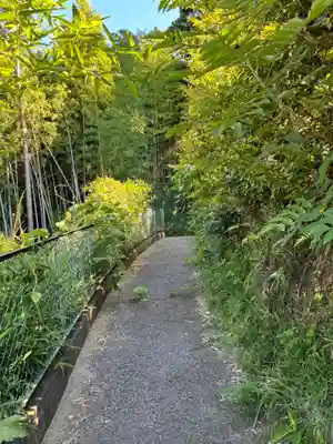 大宮神社(千葉県)