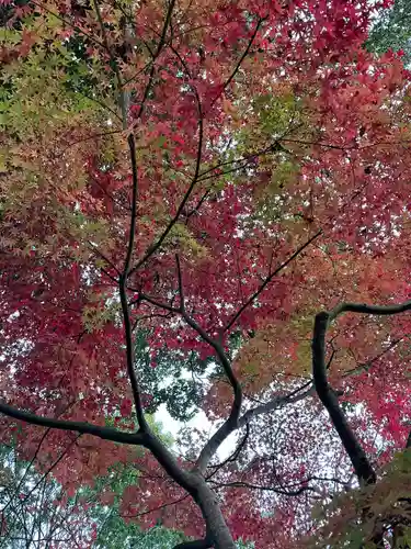 大洗磯前神社の自然