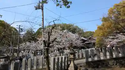 向日神社(京都府)