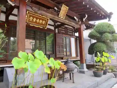 安樂寺(安楽寺)の本殿・本堂