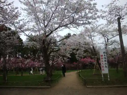 北海道神宮の自然