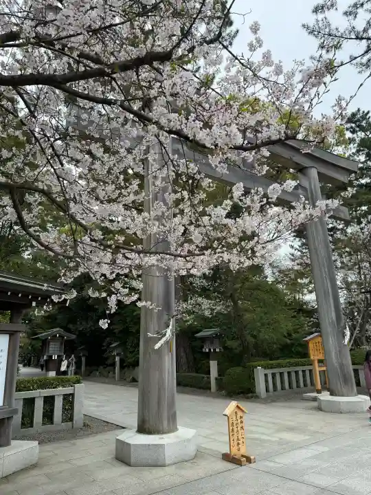 寒川神社の{uncategorized: "未分類", other: "その他", undefined: "問題あり", building: "その他建物", grave: "お墓", sacred_gate: "鳥居", guardian: "狛犬", statue: "像", buddha: "仏像", history: "歴史", nature: "自然", garden: "庭園", animal: "動物", pagoda: "塔", temizu: "手水舎", mountain_gate: "山門・神門", sanctuary: "本殿・本堂", subordinate: "末社・摂社", art: "芸術", scenery: "景色", jizo: "地蔵", ema: "絵馬", goshuin: "御朱印", omikuji: "おみくじ", items: "授与品その他", amulet: "お守り", goshuincho: "御朱印帳", eats: "食事", festival: "お祭り", votive_dance: "神楽", shichigosan: "七五三参", wedding: "結婚式", experience: "体験その他", initially: "初詣", around: "周辺", anti_infection: "感染症対策"}
