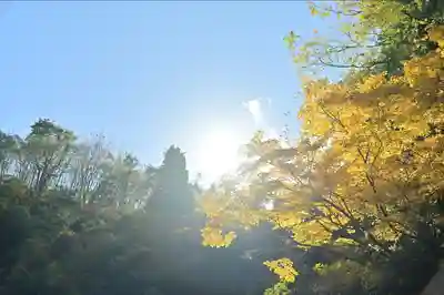 髙龍神社 中社(新潟県)