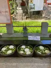 津島神社(愛知県)