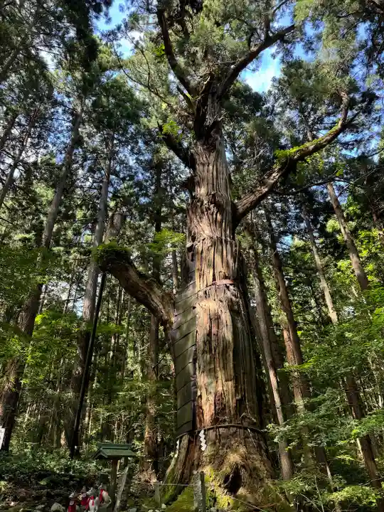 志和稲荷神社(岩手県)