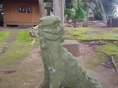 国上神社の狛犬