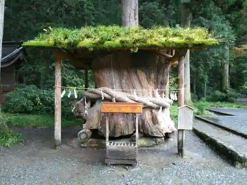 小國神社の建物その他