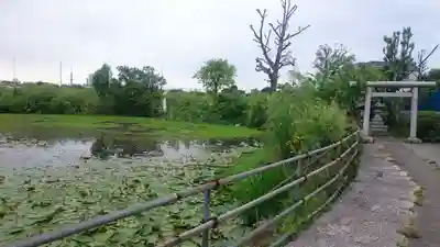 青龍神社の鳥居