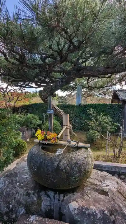 正法寺(京都府)
