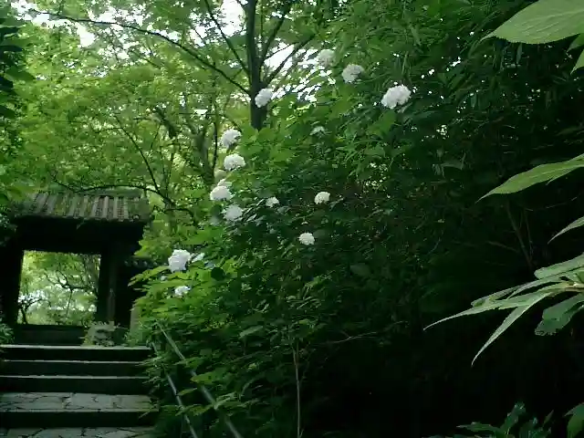 瑞泉寺のその他建物