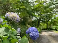 普門寺(切り絵御朱印発祥の寺)(愛知県)