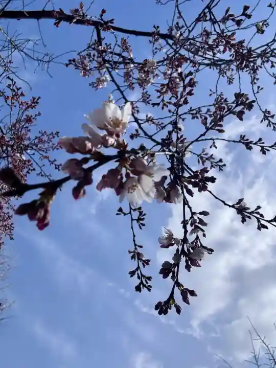 長建寺の{uncategorized: "未分類", other: "その他", undefined: "問題あり", building: "その他建物", grave: "お墓", sacred_gate: "鳥居", guardian: "狛犬", statue: "像", buddha: "仏像", history: "歴史", nature: "自然", garden: "庭園", animal: "動物", pagoda: "塔", temizu: "手水舎", mountain_gate: "山門・神門", sanctuary: "本殿・本堂", subordinate: "末社・摂社", art: "芸術", scenery: "景色", jizo: "地蔵", ema: "絵馬", goshuin: "御朱印", omikuji: "おみくじ", items: "授与品その他", amulet: "お守り", goshuincho: "御朱印帳", eats: "食事", festival: "お祭り", votive_dance: "神楽", shichigosan: "七五三参", wedding: "結婚式", experience: "体験その他", initially: "初詣", around: "周辺", anti_infection: "感染症対策"}