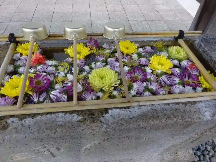 日蓮宗 浄運寺の手水舎