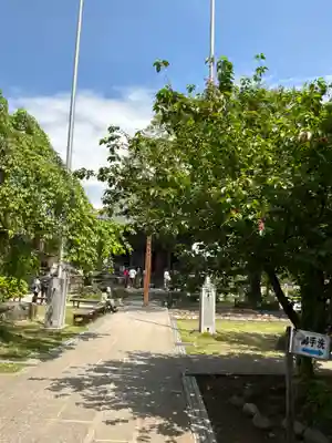 秩父札所十三番 慈眼寺の庭園