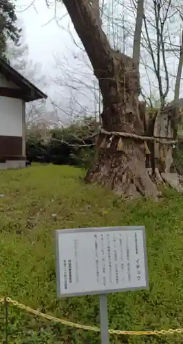 白鳥神社(宮城県)