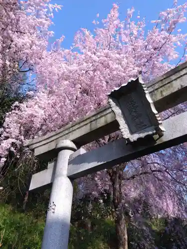 熊野神社(福井県)