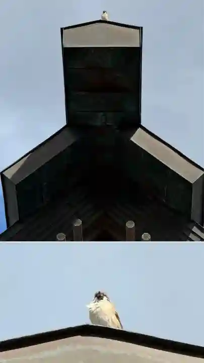 七重浜海津見神社(北海道)