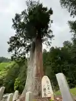 室生龍穴神社の{uncategorized: "未分類", other: "その他", undefined: "問題あり", building: "その他建物", grave: "お墓", sacred_gate: "鳥居", guardian: "狛犬", statue: "像", buddha: "仏像", history: "歴史", nature: "自然", garden: "庭園", animal: "動物", pagoda: "塔", temizu: "手水舎", mountain_gate: "山門・神門", sanctuary: "本殿・本堂", subordinate: "末社・摂社", art: "芸術", scenery: "景色", jizo: "地蔵", ema: "絵馬", goshuin: "御朱印", omikuji: "おみくじ", items: "授与品その他", amulet: "お守り", goshuincho: "御朱印帳", eats: "食事", festival: "お祭り", votive_dance: "神楽", shichigosan: "七五三参", wedding: "結婚式", experience: "体験その他", initially: "初詣", around: "周辺", anti_infection: "感染症対策"}