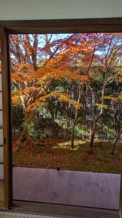 源光庵(京都府)