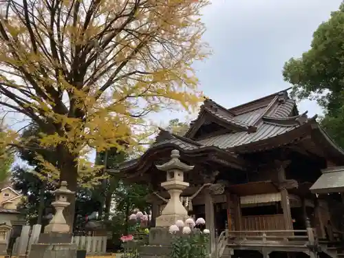 田無神社の本殿・本堂