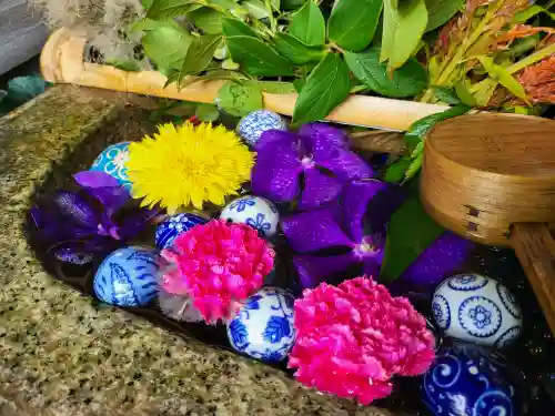 勝林寺(京都府)