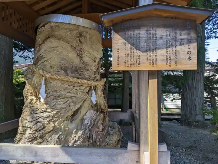飛驒一宮水無神社(岐阜県)