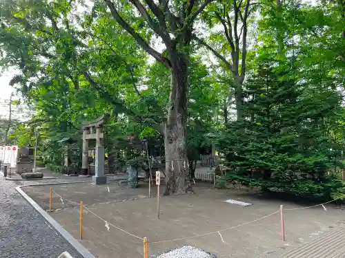 旭川神社の庭園