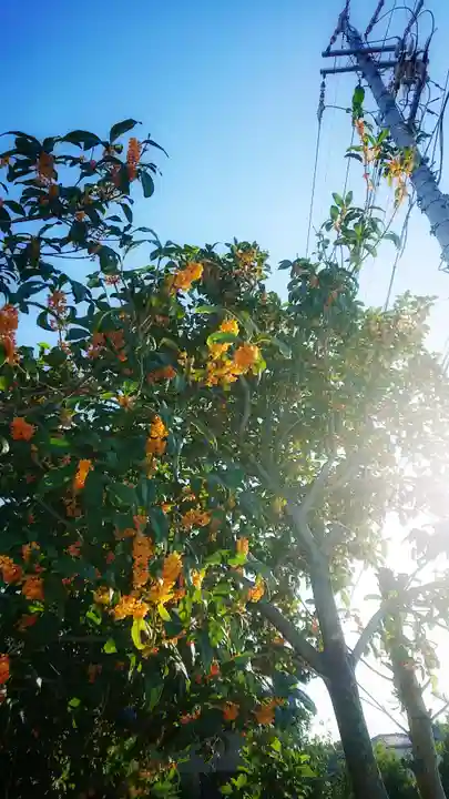 豊福稲荷社の周辺